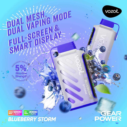 Vozol Gear Power 20000 Blueberry Storm